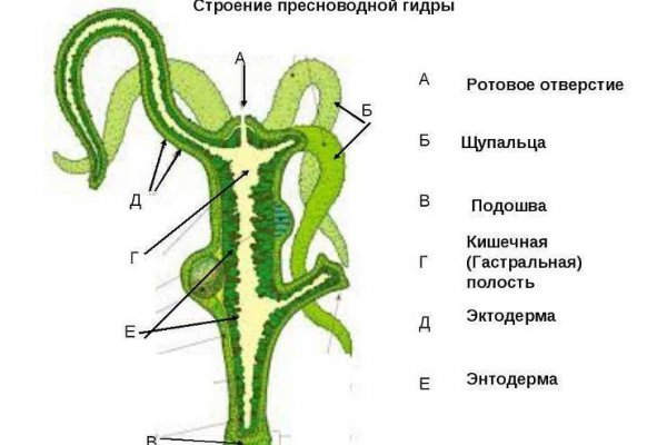 Kraken актуальные ссылки