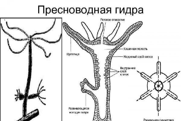 Кракен оф сайт kr2web in